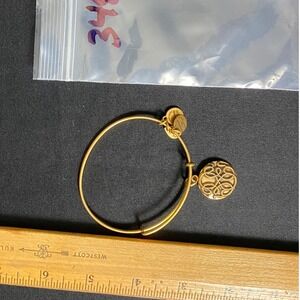 Alex and Ani Gold Tone Expandable Charm‎ Bangle Bracelet